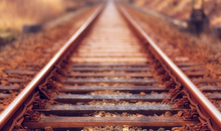 A detailed close-up view of railway tracks stretching into the distance surrounded by autumn colors.