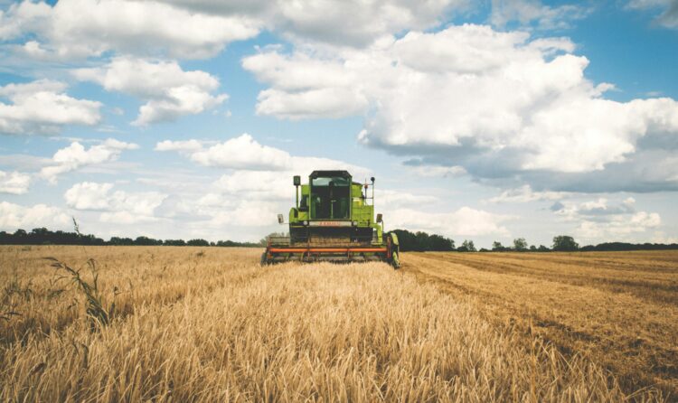 A green tractor harvesting wheat in a vast open field under a bright, cloudy sky.