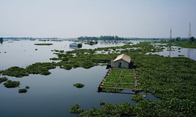 A serene view of a floating house surrounded by water hyacinths on a lake in Lâm Đồng, Vietnam.
