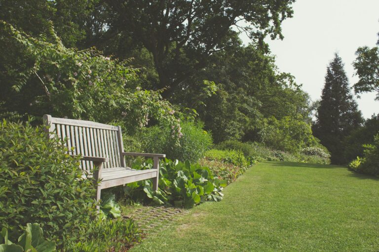 A serene garden scene featuring a wooden bench surrounded by vibrant greenery and trees.